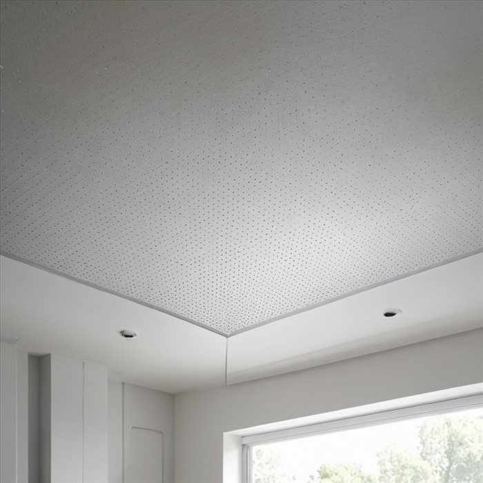 Solutions pour Taches d'Humidité au Plafond